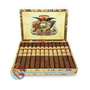 Paradiso Revelation Mystic 24s CB 00 953